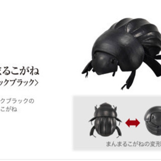 まんまるこがね　ダンゴムシガチャ　アルマジロトカゲ