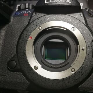 配送可◎美品◎Panasonic GH5s Youtuberに！の画像