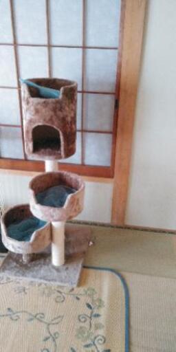 キャットタワー