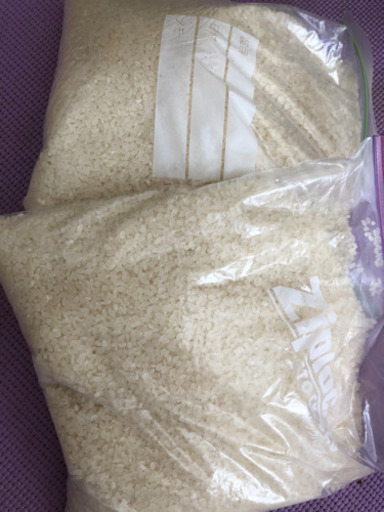 コシヒカリ  お米 今日明日なるべく早く取りに来れる方