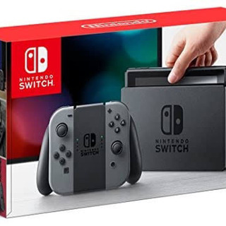 Nintendo Switch グレー 本体 【美品】