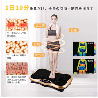 振動マシン フィットネス ぶるぶるマシン シェイカー ミニ パワーウェーブの画像