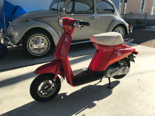 スズキ薔薇　実動　取引き中