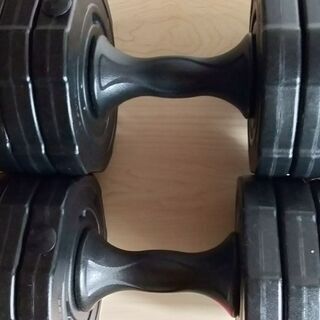 アーミーダンベル 10ｋｇ×2個セット LEDB-10MT*2 ...