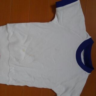 幼児向けの運動着　夏物　半そで