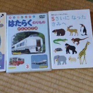 ★子供学習向けDVD★の画像