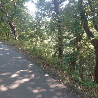 網代台別荘地 - 土地販売/土地売買