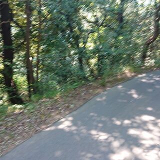 網代台別荘地 - 不動産