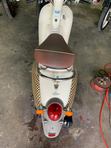 クレアスクーピー　af55