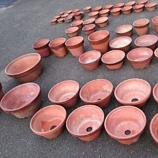 大型植木鉢 15号の画像