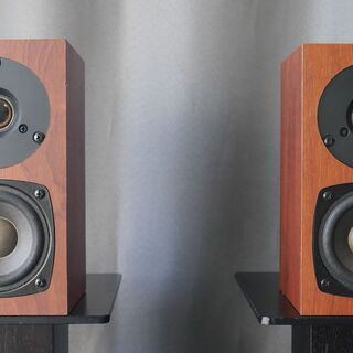 Fostex P802-E