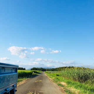 農業仲間募集‼️👨‍🌾 - 熊本市