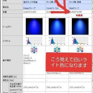☆取り引き完了☆グラッシーレディオRX072リーフカミハタライトカバー付きの画像