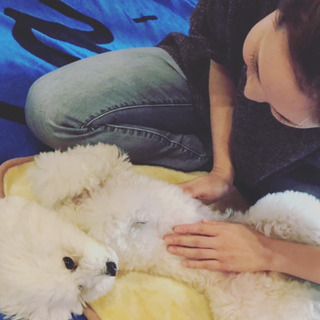 【満席のため受付終了】愛犬🐶のストレスケアをお考えの方にの画像