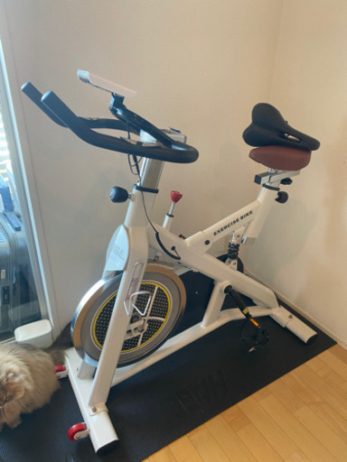 ハイガー産業スピンバイク