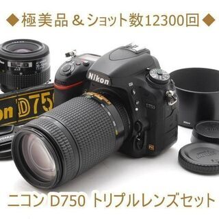 ◆極美品＆ショット数12300回◆ニコン D750 トリプルレンズセット