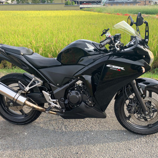大人気‼️ホンダCBR 250R‼️極上美車‼️