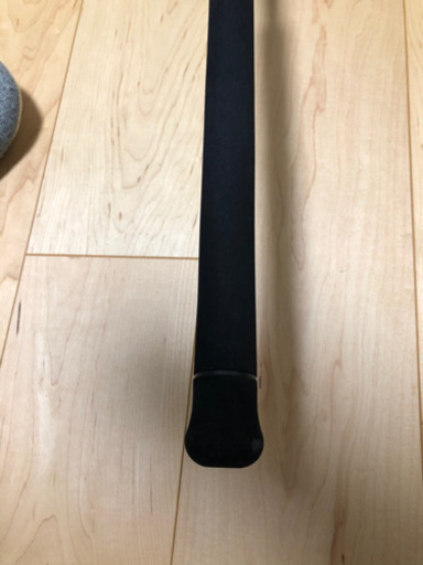 天龍　パワーマスター　ライトコア100MH(釣り、ロッド、ショア)