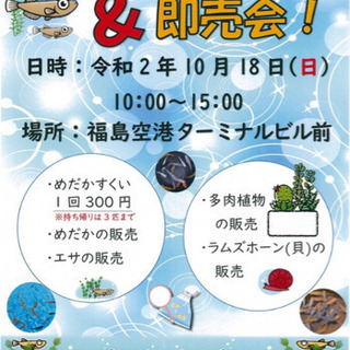 メダカ掬い&即売会 10/18(日) 福島空港