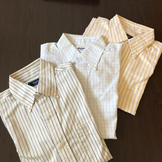 Kent カッターシャツ　3枚　Mサイズ