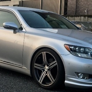 決まりかけなので今日で終了します。の画像