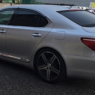 決まりかけなので今日で終了します。の画像