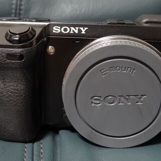 ソニーのミラーレス一眼カメラnex-7 本体 シャッター回数3150回の画像