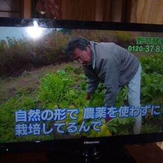 hisense hs24k３００ハイセンス２４インチテレビ高知市...