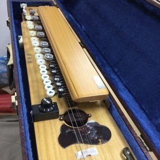 【大正琴‼️】