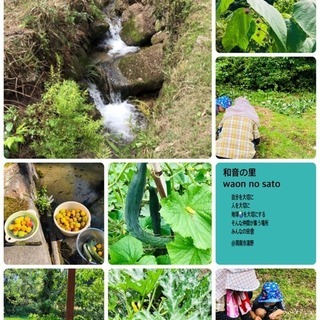 残席1です。お申し込みはお早めに☆　10月17日 ”Hello, New Friends!” 新しい友達を作りませんか？　 − 山口県
