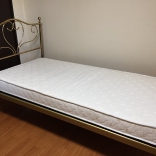 お声かけ頂きましてありがとうございました！