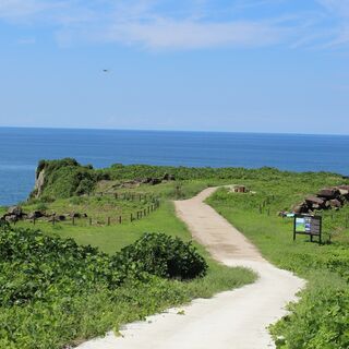 山陰海岸ジオパークの魅力的なジオスポットでヨガを体験してみませんか？ - イベント