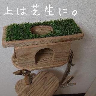 売り切れました。流木キャットタワー4段テーブル・(サイズ中)の画像