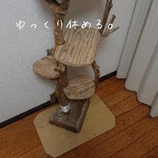 売り切れました。流木キャットタワー4段テーブル・(サイズ中)の画像