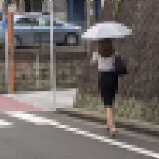 ③身元調査+素行身辺調査+結婚前調査【住まい勤務先名前】ゴリラ探偵事務所横浜　神奈川・東京 - 生活トラブル