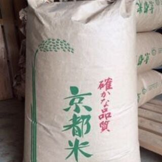 令和6年度産 新米コシヒカリです