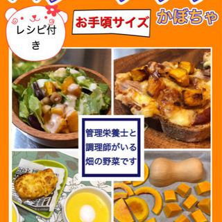 バターナッツかぼちゃ完売しました。 - 伊勢崎市
