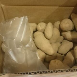 無料 北海道 メークイン じゃがいも 他