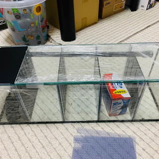 水槽　ベタマンション　仕切り水槽　60cm  4室 [引き取り限定]