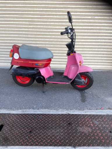 スカッシュデラックス！セルつき