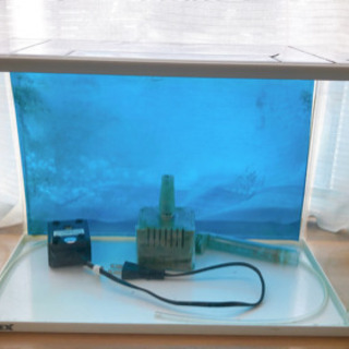 水槽 無料差し上げますの画像