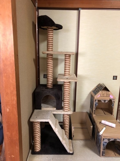 キャットタワー