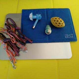 犬用品一式🐾全部まとめての画像