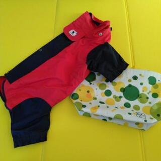 犬用品一式🐾全部まとめての画像