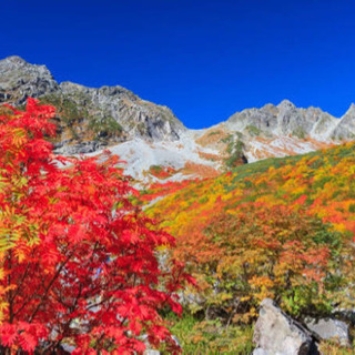 上高地へ紅葉を見に行きませんか⁉️⛰🍁