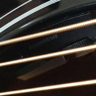 エピフォン 斉藤和義 シグネチャー・モデルの画像