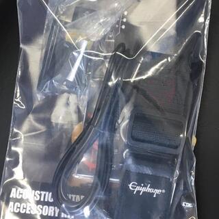 エピフォン 斉藤和義 シグネチャー・モデルの画像