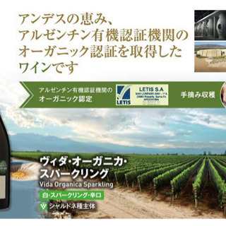 ヴィダ･オーガニカ･スパークリング 限定ギフトセットの画像