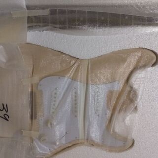 未使用 RockMusicStore DIY ギターキット sn...