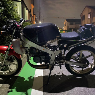 NS-1   の画像